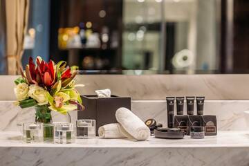 Полулюкс в Отеле The Biltmore Tbilisi Hotel